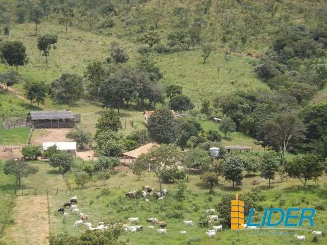 Sítio e chácara venda em Região Geográfica Imediata de Uruaçu - Niquelândia, Niquelândia