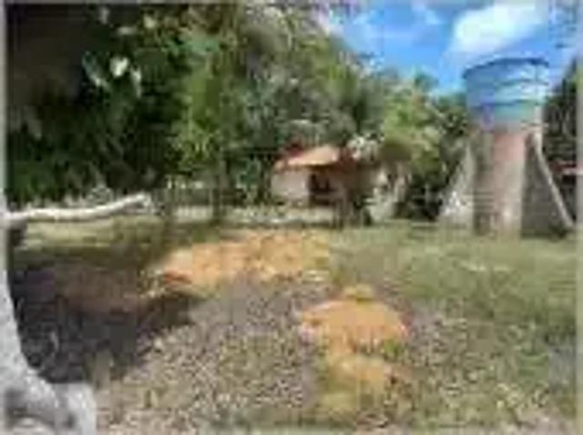 Sítio e chácara venda em Região Geográfica Imediata de Natal, Nísia Floresta