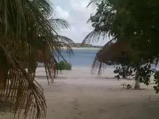 Sítio e chácara venda em Região Geográfica Imediata de Natal, Nísia Floresta