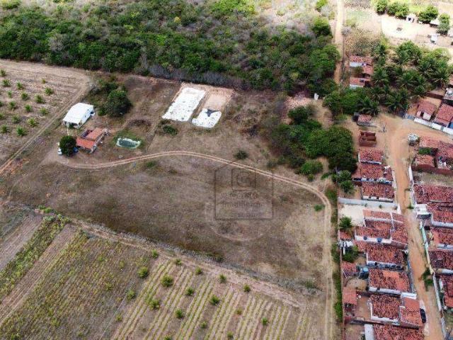 Sítio e chácara venda em Região Geográfica Imediata de Natal, Nísia Floresta