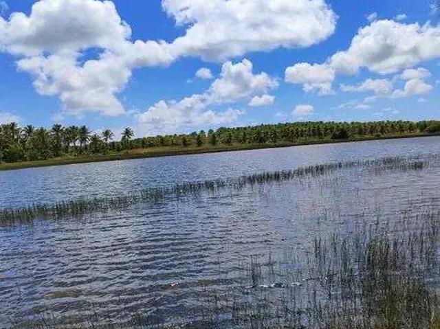 Sítio e chácara venda em Região Geográfica Imediata de Natal, São Gonçalo do Amarante