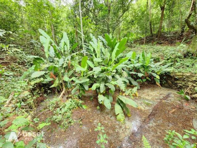 Sítio e chácara venda em Região Geográfica Imediata do Rio de Janeiro, Região Metropolitana do Rio de Janeiro