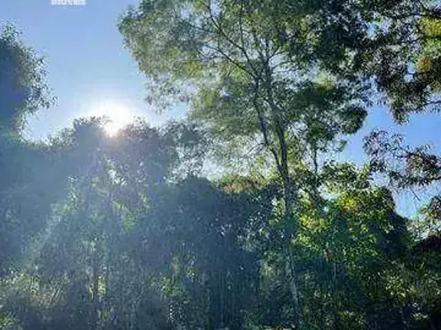Sítio e chácara venda em Região Geográfica Imediata do Rio de Janeiro, Região Metropolitana do Rio de Janeiro