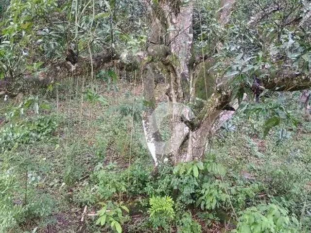Sítio e chácara venda em Região Geográfica Imediata do Rio de Janeiro, Região Metropolitana do Rio de Janeiro