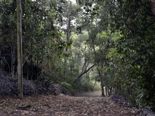 Sítio e chácara venda em Região Geográfica Imediata do Rio de Janeiro, Região Metropolitana do Rio de Janeiro