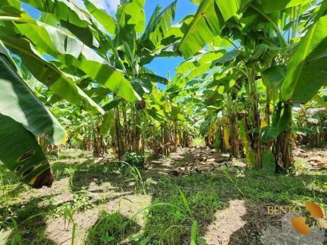 Sítio e chácara venda em Nobres, Região Geográfica Intermediária de Cuiabá