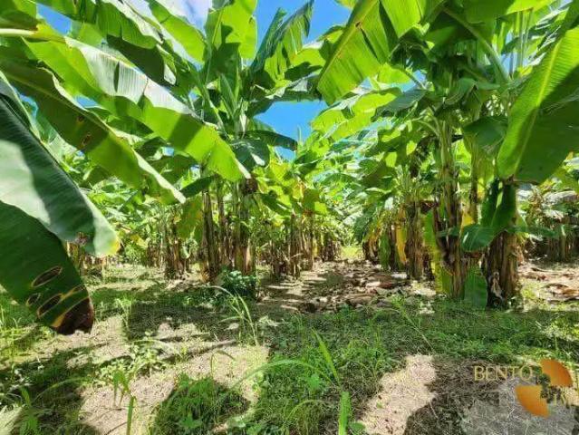 Sítio e chácara venda em Região Geográfica Imediata de Cuiabá, Nobres