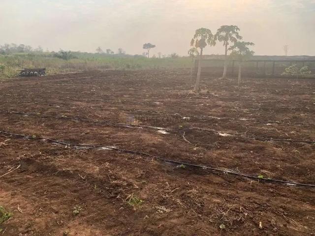 Sítio e chácara venda em Região Geográfica Imediata de Cuiabá, Nobres