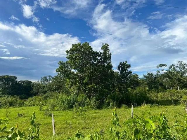 Sítio e chácara venda em Região Geográfica Imediata de Cuiabá, Nobres