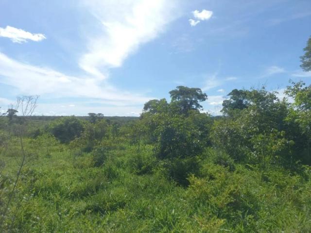 Sítio e chácara venda em Nossa Senhora do Livramento, Região Geográfica Intermediária de Cuiabá