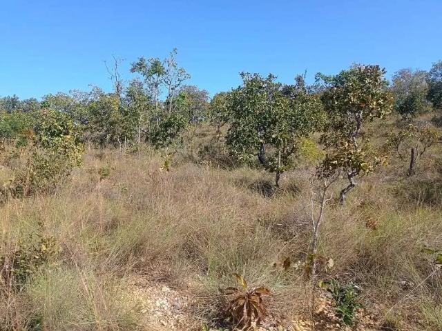 Sítio e chácara venda em Região Geográfica Imediata de Cuiabá, Região Metropolitana do Vale do Rio Cuiabá
