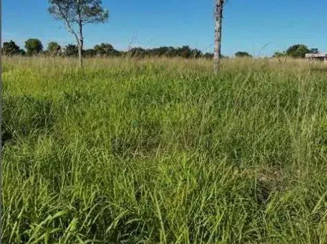 Sítio e chácara venda em Região Geográfica Imediata de Cuiabá, Região Metropolitana do Vale do Rio Cuiabá