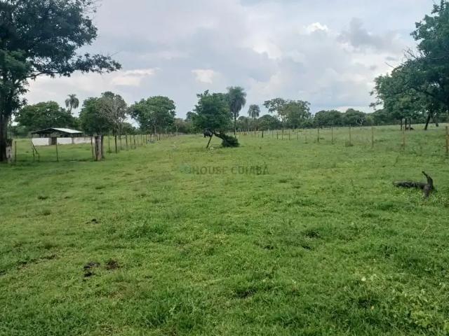 Sítio e chácara venda em Região Geográfica Imediata de Cuiabá, Região Metropolitana do Vale do Rio Cuiabá