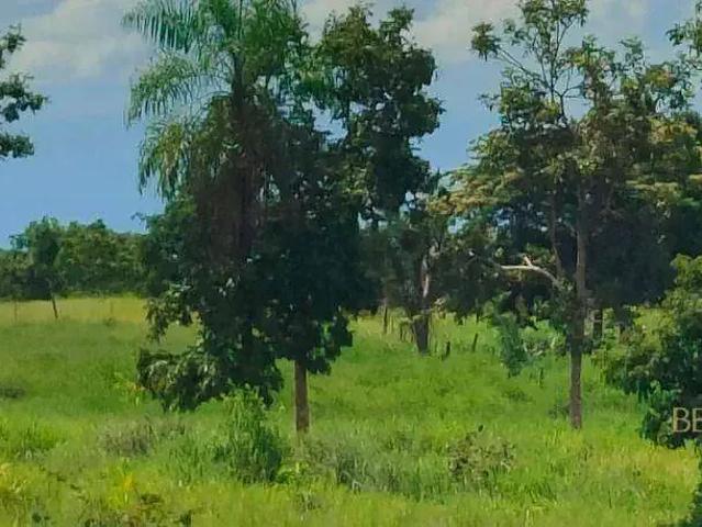 Sítio e chácara venda em Região Geográfica Imediata de Cuiabá, Região Metropolitana do Vale do Rio Cuiabá