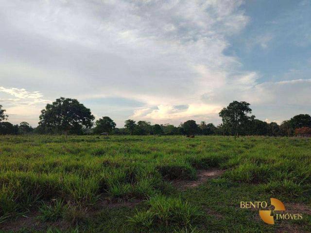 Sítio e chácara venda em Nossa Senhora do Livramento, Região Geográfica Intermediária de Cuiabá