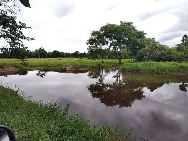Sítio e chácara venda em Região Geográfica Imediata de Cuiabá, Região Metropolitana do Vale do Rio Cuiabá