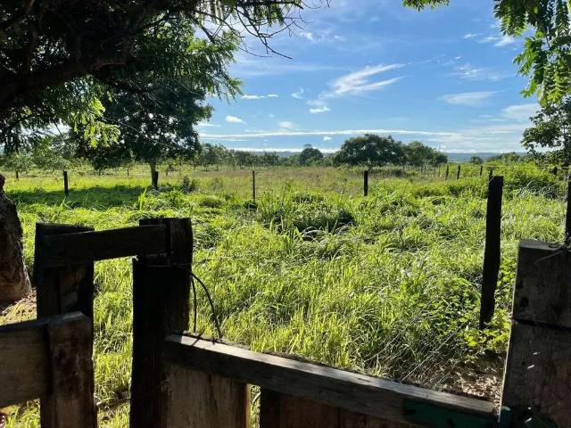 Sítio e chácara venda em Região Geográfica Imediata de Cuiabá, Região Metropolitana do Vale do Rio Cuiabá