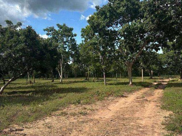 Sítio e chácara venda em Nossa Senhora do Livramento, Região Geográfica Intermediária de Cuiabá