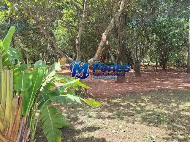 Sítio e chácara venda em Nova Aliança, Região Geográfica Intermediária de São José do Rio Preto