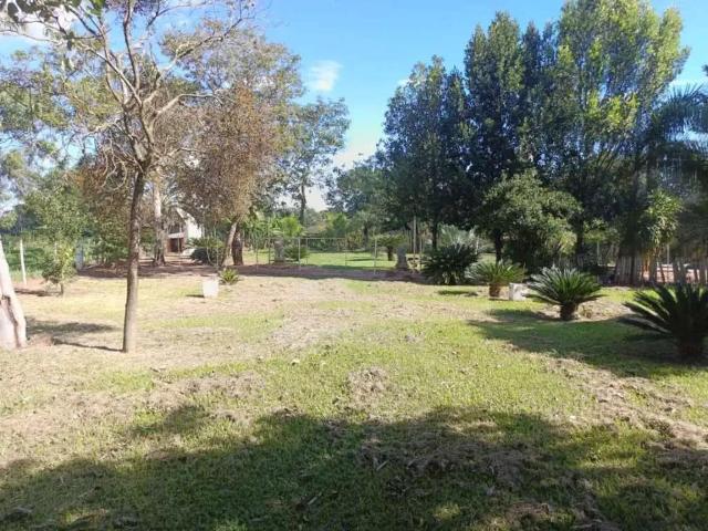 Sítio e chácara venda em Região Imediata de São José do Rio Preto, Região Metropolitana de São José do Rio Preto