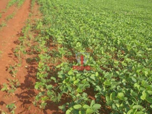 Sitio venda em Nova América da Colina, Patrimônio do Cedro
