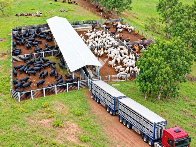 Sítio e chácara venda em Nova Andradina