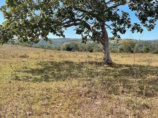 Sítio e chácara venda em Região Geográfica Imediata de Catalão, Nova Aurora