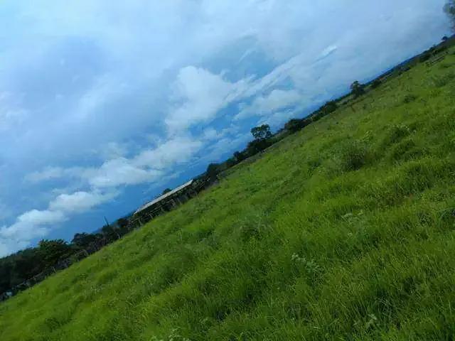 Sítio e chácara venda em Região Geográfica Imediata de Goiás - Itapuranga, Nova Crixás