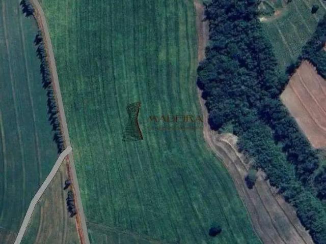Sítio e chácara venda em Região Geográfica Imediata de Maringá, Maringá
