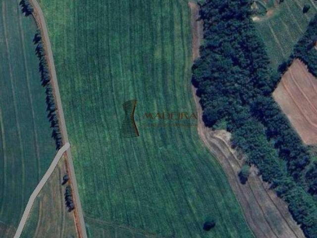 Sítio e chácara venda em Zona 08, Maringá