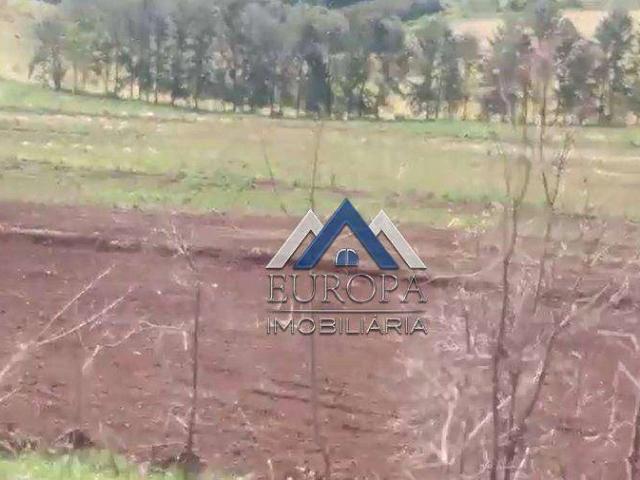 Sítio e chácara venda em Nova Fátima, Região Geográfica Intermediária de Londrina