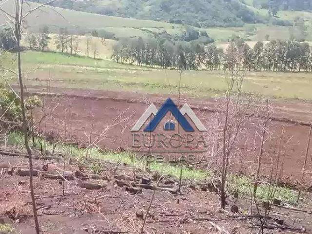 Sítio e chácara venda em Região Geográfica Imediata de Cornélio Procópio-Bandeirantes, Nova Fátima