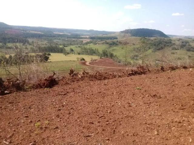 Sítio e chácara venda em Região Geográfica Imediata de Cornélio Procópio-Bandeirantes, Nova Fátima