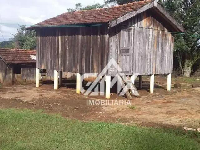 Sítio e chácara venda em Região Geográfica Imediata de Feira de Santana, Nova Fatima