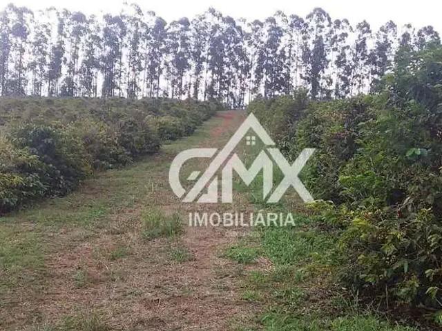 Sítio e chácara venda em Região Geográfica Imediata de Feira de Santana, Nova Fatima