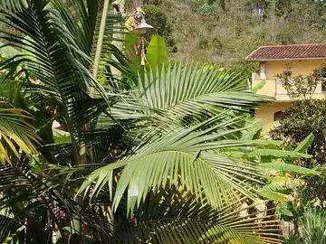 Sítio e chácara venda em Região Geográfica Imediata de Nova Friburgo, Nova Friburgo