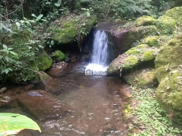 Sítio e chácara venda em Região Geográfica Imediata de Nova Friburgo, Nova Friburgo