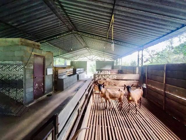 Sítio e chácara venda em Região Geográfica Imediata de Nova Friburgo, Nova Friburgo