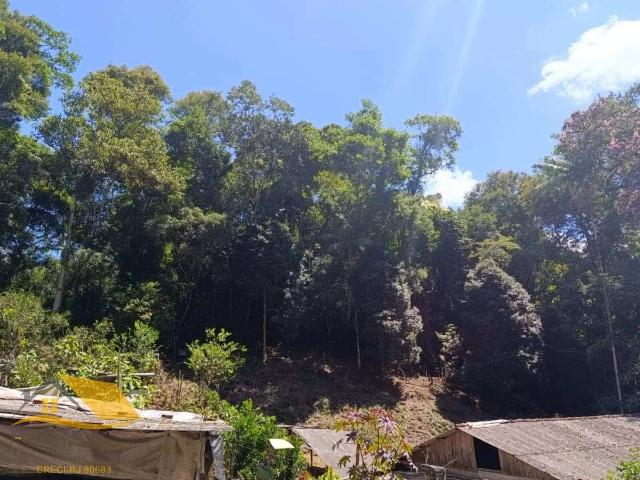 Sítio e chácara venda em Nova Friburgo