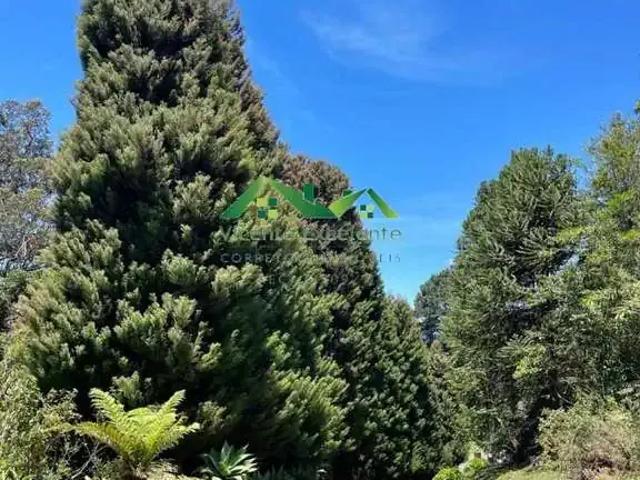 Sítio e chácara venda em Região Geográfica Imediata de Nova Friburgo, Nova Friburgo