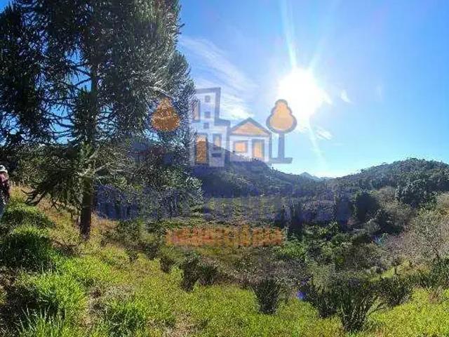 Sítio e chácara venda em Região Geográfica Imediata de Nova Friburgo, Nova Friburgo