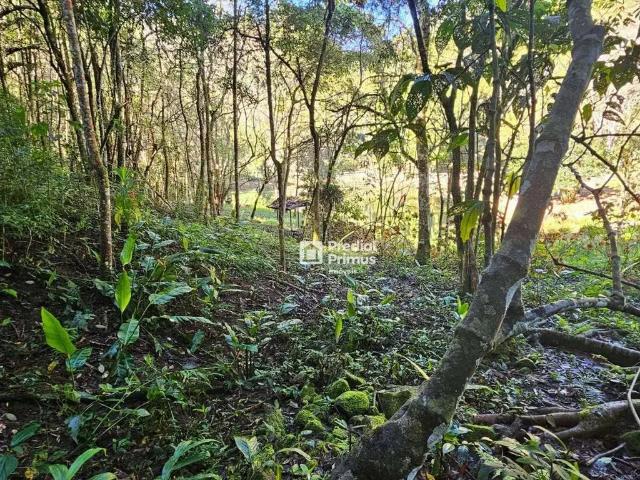 Sítio e chácara venda em Região Geográfica Imediata de Nova Friburgo, Nova Friburgo