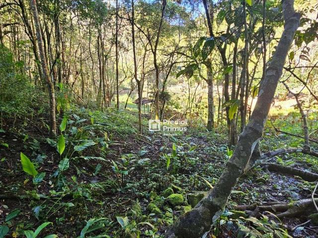 Sítio e chácara venda em Nova Friburgo
