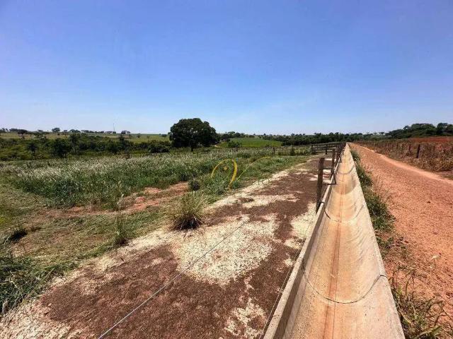 Sítio e chácara venda em Região Imediata de São José do Rio Preto, Região Metropolitana de São José do Rio Preto