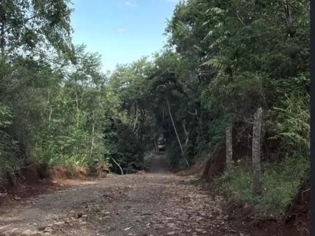 Sítio e chácara venda em Região Geográfica Imediata de Novo Hamburgo - São Leopoldo, Região Metropolitana de Porto Alegre