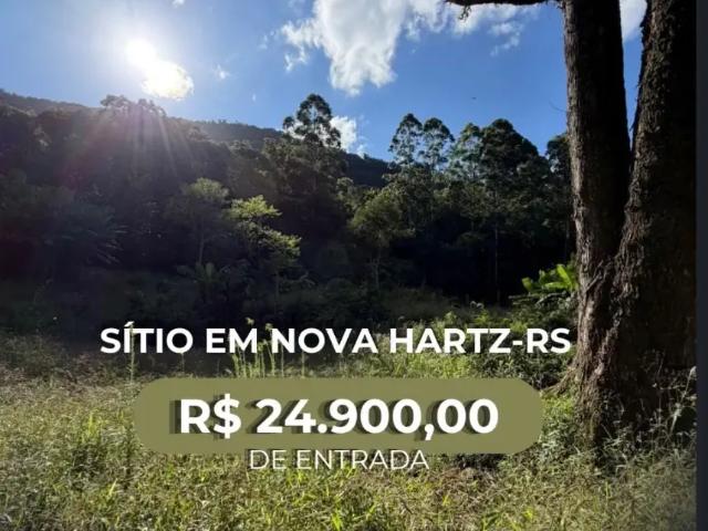 Sítio e chácara venda em Região Geográfica Imediata de Novo Hamburgo - São Leopoldo, Região Metropolitana de Porto Alegre