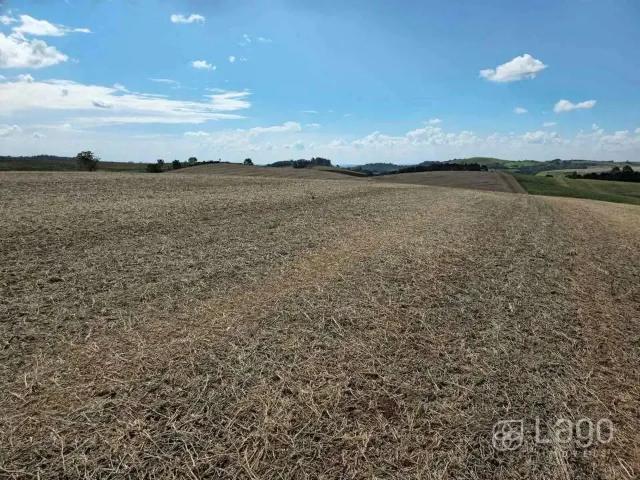 Sítio e chácara venda em Laranjeiras do Sul, Região Sul