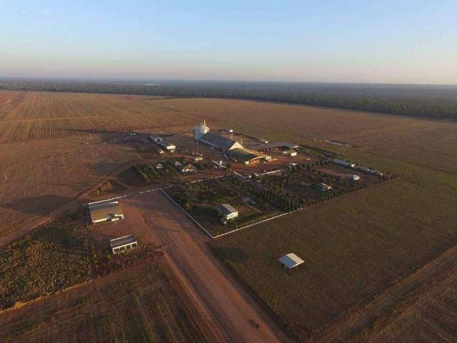 Sítio e chácara venda em Nova Maringá, Região Geográfica Intermediária de Cuiabá