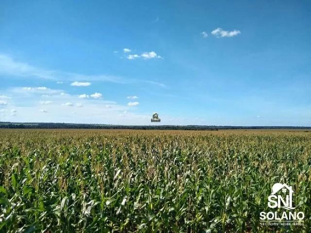 Sítio e chácara venda em Comercial José Aparecido Ribeiro, Nova Mutum