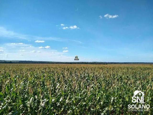Sítio e chácara venda em Região Geográfica Imediata de Sorriso, Nova Mutum